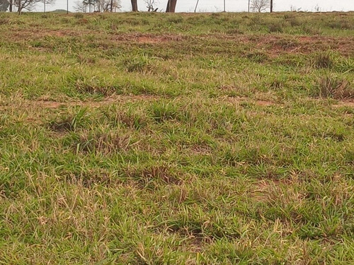 Imagem 2 de 11 de Chácaras Com Valores Que Cabem No Seu Bolso!!