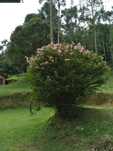 Maravilhosa Casa De Campo Com Piscina Aquecida (climatizada A 28 Graus), Lago, Riacho, Campo De Futebol, Sinuca, Fliperama.