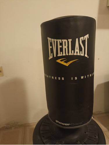 Saco De Boxeo Con Base Everlast, Como Nuevo.cómo 