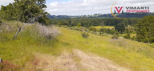 Venta De Terreno De 15 Ha. En Caulín Alto, Comuna De Ancud