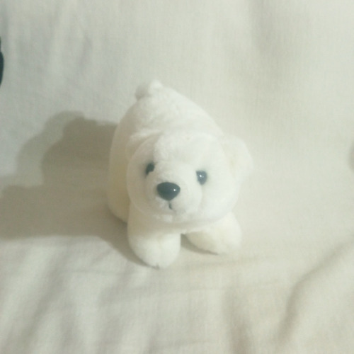 Pelúcia Urso Polar Do Canadá, Made In China. Lindo.