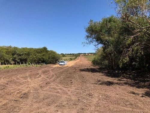 Imagen 4 de 15 de Quinta En Venta En Garzon