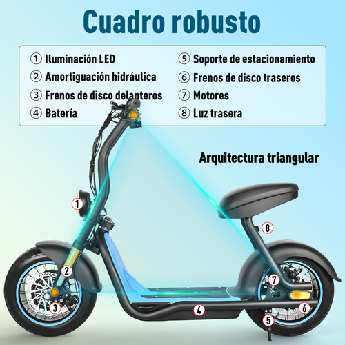Honey Whale Scooter Eléctrico H10 Para Adulto 13ah Aut. 40km Color Negro