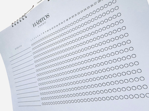 Control De Habitos Calendario 12 Meses Para Colgar