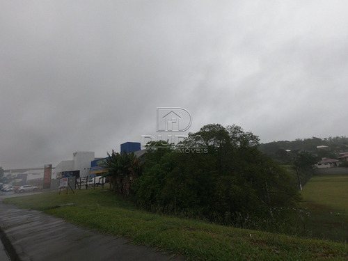 Imagem 2 de 3 de Terreno Comercial - Fabio Silva - Ref: 30141 - V-30139