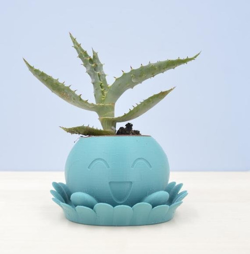 Maceta Oddish