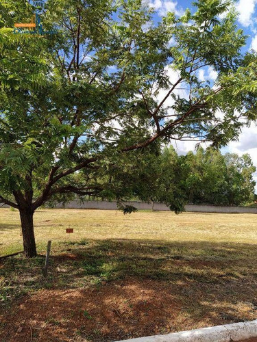 Imagem 4 de 7 de Terreno À Venda, 2053 M² Por R$ 300.000 - Jardim Luzitano - Anápolis/go - Te0665