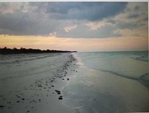 En Venta Terreno El Cuyo De 23,500 M² En Tizimin, Yucatan
