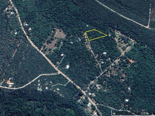 En Venta Espectacular Lote Arbolado De 4000 M2 | Villa De Las Rosas | Escritura Y Servicios