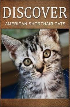 American Shorthair Cats - Discover : Early Reader's Wildl...