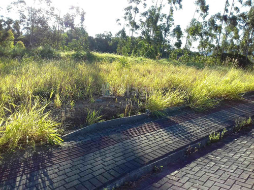 Terreno A Venda No Centro Em Guabiruba/sc - 954