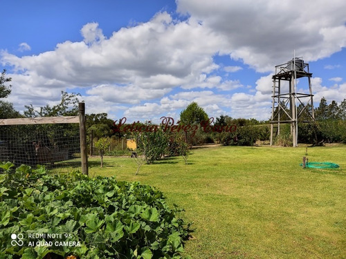 Venta De Chacra Sobre Ruta 9 A 30 Km De Jose Ignacio- Ref: 17546