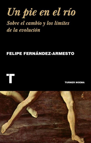 Imagen 1 de 1 de Libros Un Pie En El Río / Felipe Fernández-armesto / Turner