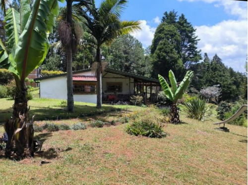 Finca En Venta En Rionegro, Sector La Mosquita, Vereda Hondita