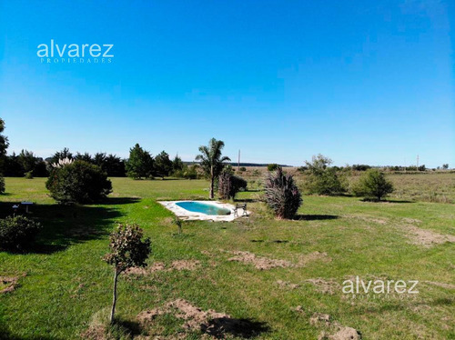 Imagen 9 de 14 de Venta Finca Uruguay