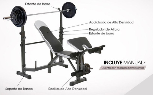 Imagen 3 de 9 de Banco Pecho Plano Inclinado Plegable Piernas Scott Pesas Gym