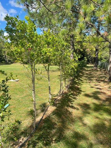 Imagen 26 de 29 de Casa En Venta De 3 Dormitorios, 3 Baños, Piscina En Barrio Privado Carmel