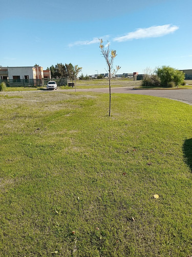 Lote + Proyecto Aprobado En Venta San Sebastian