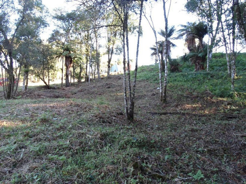 Imagem 9 de 15 de Terreno À Venda, 463 M² Por R$ 446.800,00 - Vivendas Do Arvoredo - Gramado/rs - Te0093