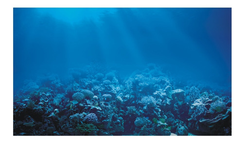 Adesivo Peixes Aquário Decoração Oceano Fundo Do Mar J 275