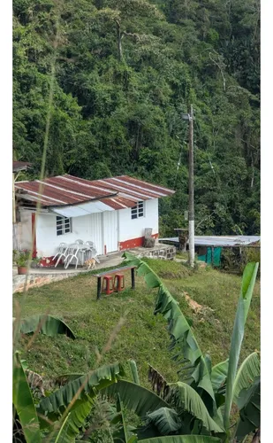 Venta Finca Cordoba - 3.5 Hectareas