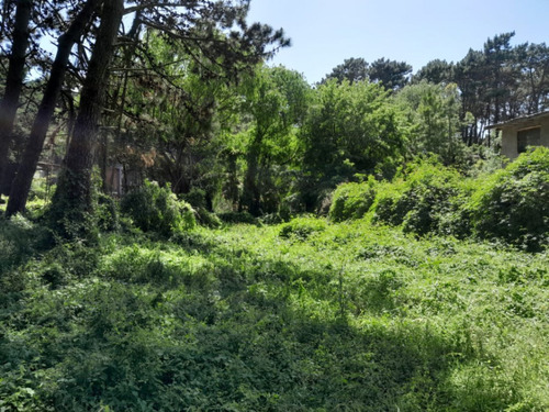 Venta Terreno / Lote Mar Azul