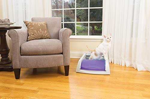 Arenero Para Gatos Con Limpieza Automática Pet Safe