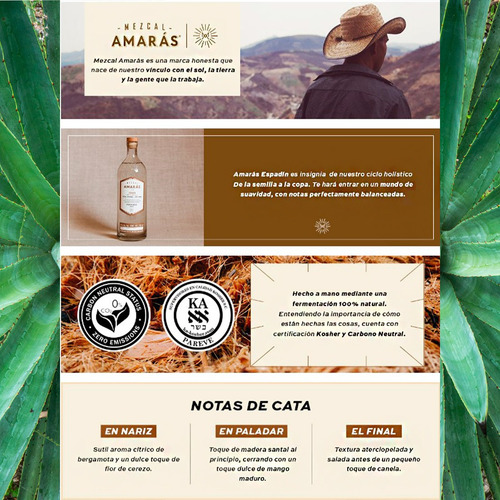 Mezcal Amaras Espadín Joven 750 Ml - Mezcal Oaxaca (3 Pack)