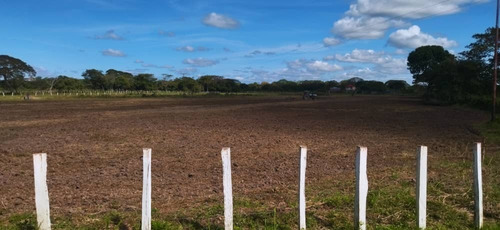 Imagen 3 de 13 de Hermosa Finca En Achaguas Apure A Tan Solo Minutos De La Carretera Nacional Código 10791 Niurka 04148321738