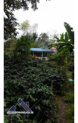 Finca en venta
