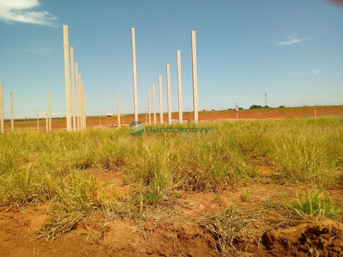 Terreno - Te00502 - 69008607