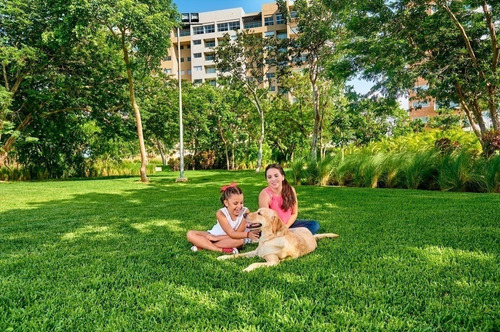 Departamentos(1r) En Venta En Torre Oceana En Vía Montejo