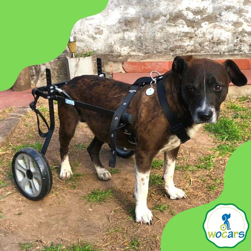 Carrito Para Perros Y Gatos Discapacitados Wocars