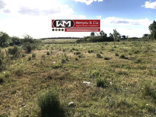 Venta Terreno En Trinidad Flores 8000 M2 40 Mts X 200 Mts