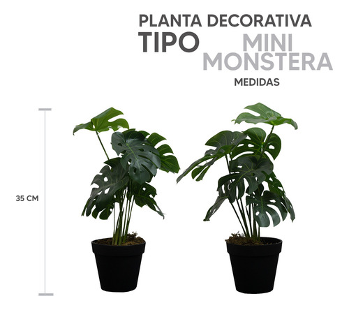 Kit 2 Plantas Artificiales Tipo Mini Monstera 35cm