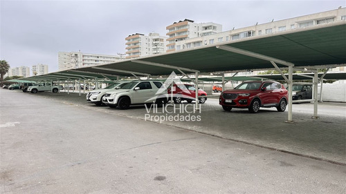 Arriendo Departamento En Avenida Del Mar