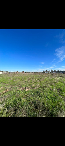 Se Vende Parcela De 5000 Mts2 Camino A Pelarco