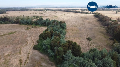 Imagen 7 de 10 de Campo Agrícola