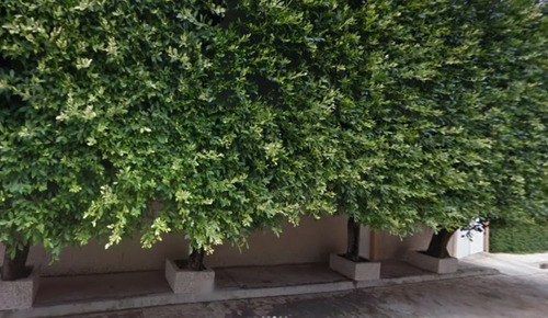 Sg - Casa De Recuperacion Bancaria En Privada Jardin , Villa Alta, Veracruz
