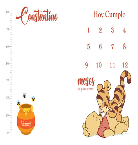 Lona Manta Crecimiento Bebe Semana Mes Año Lavable W. Pooh 2