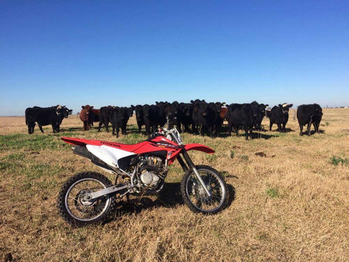 Honda Crf 150f