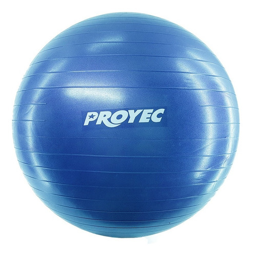 Pelota Esfera Esferodinamia Pilates 75 Cm Yoga Proyec + Inflador Esfera