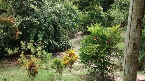Imagem 7 de 15 de Chácara Para Venda Em Sabará, Dengo D`agua, 1 Dormitório, 1 Banheiro - Ch06_1-2025356