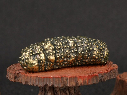 Yc Estatua De Animal De Pepino De Mar De Latón Para Mesa