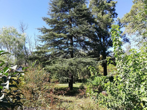 Imagen 6 de 7 de Terreno - Villa Allende