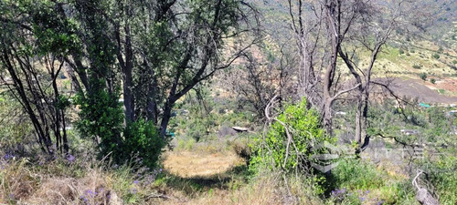 Parcela En Venta En Olmué, Quebrada Alvarado