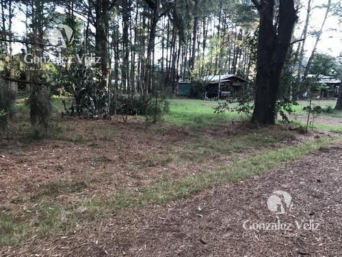 Imagen 3 de 4 de Terreno Venta