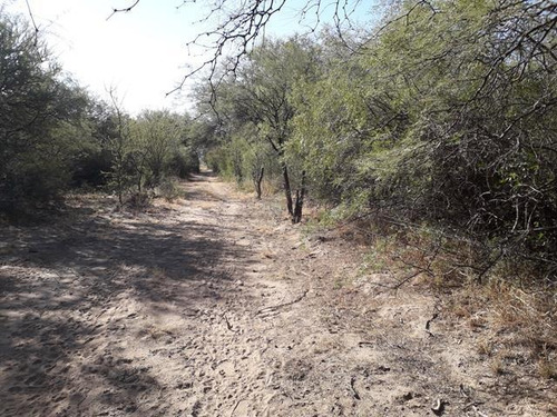 Imagen 4 de 9 de Venta De 4 Has En Villa Dolores, Traslasierras