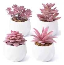 Comprar Maceta De Cerámica Para Plantas Suculentas Artificiales Pls,