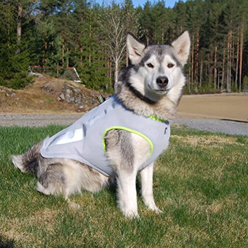 Sgoda Dog Cooling Vest Harness Cooler Jacket